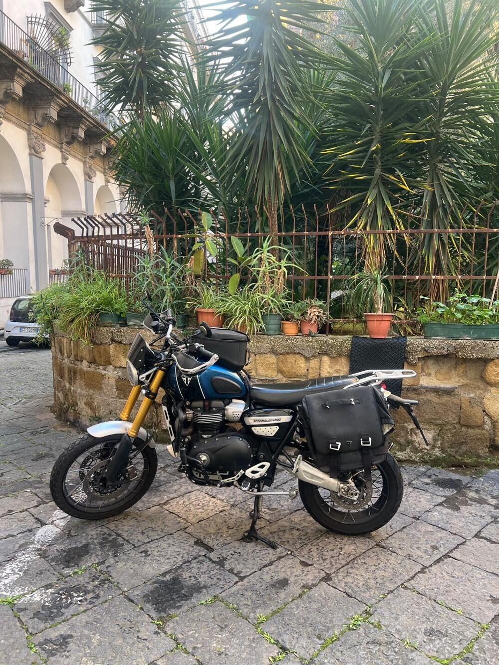 Triumph Scrambler 1200 XE (2019 - 20) (18)