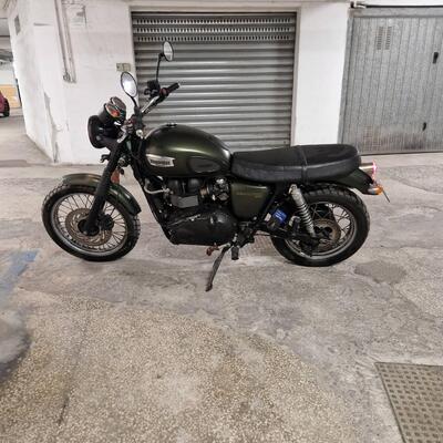 Triumph Scrambler (2006 - 17) usata