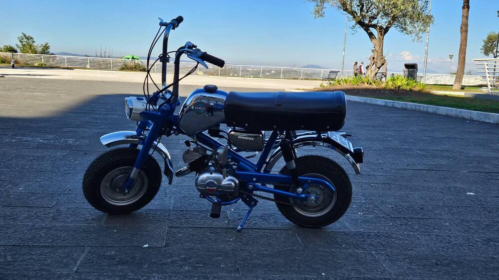 Benelli Mini Bike (2)
