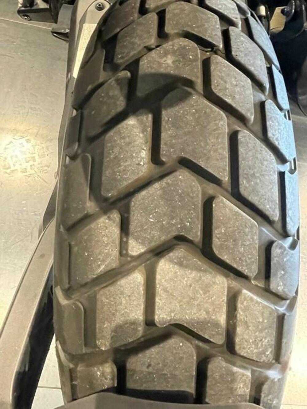 Ducati Scrambler 800 Icon (2023 - 24) (5)