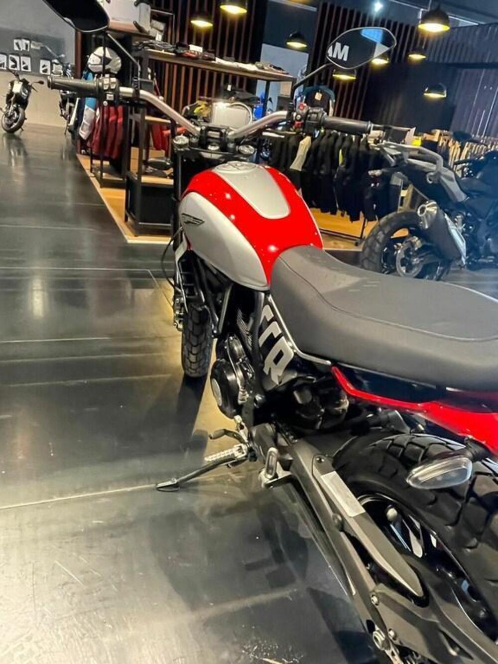 Ducati Scrambler 800 Icon (2023 - 24) (6)