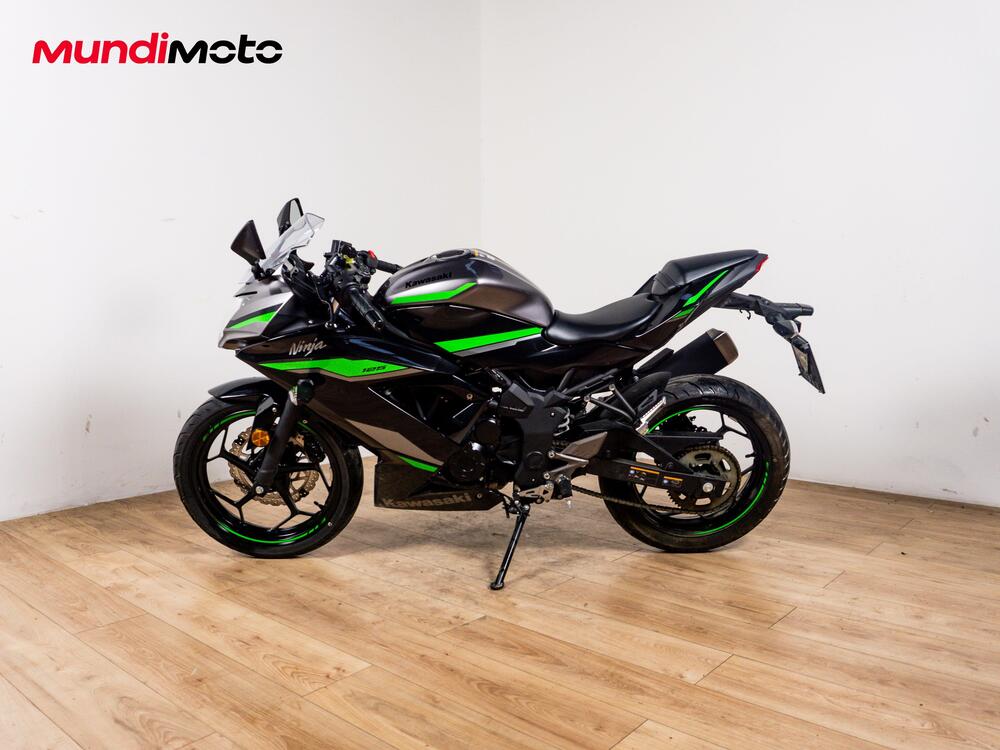 Kawasaki Ninja 125 (2019 - 20) (6)