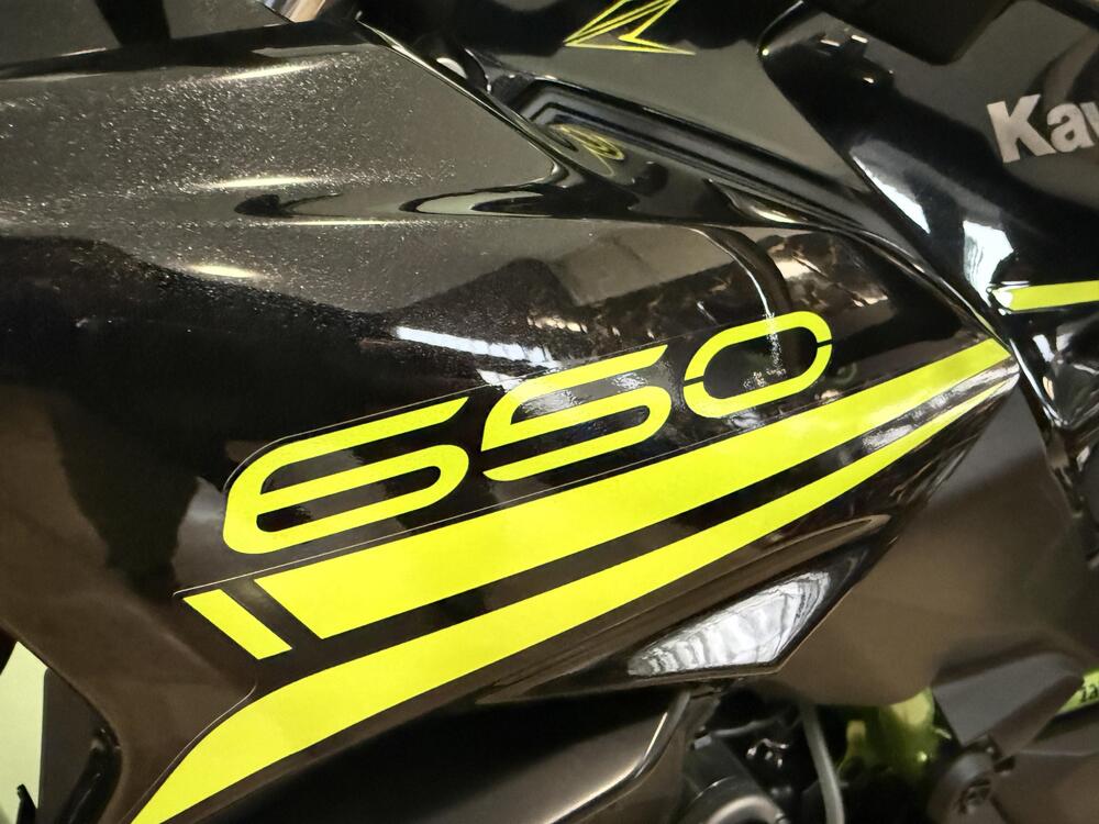 Kawasaki Z 650 (2021 - 24) (9)