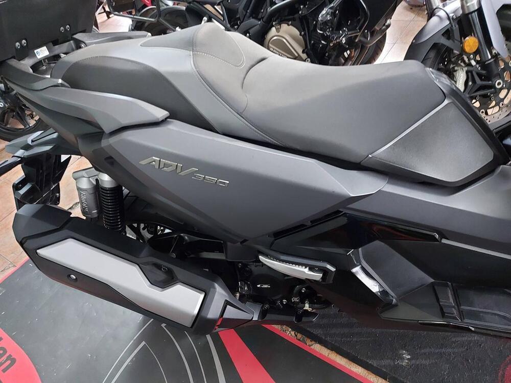 Honda ADV 350 (2022 - 24) (8)