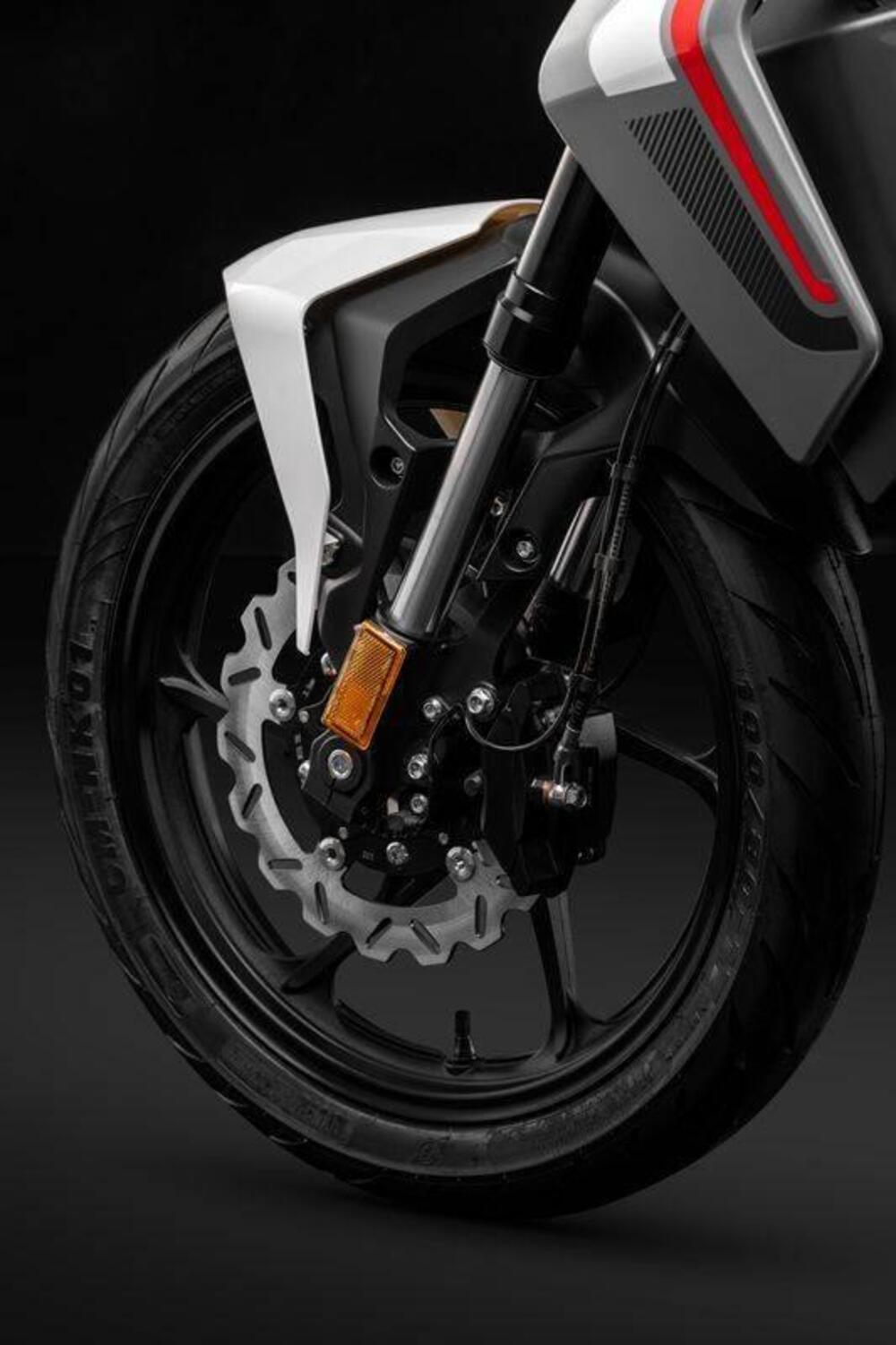 Morbidelli F125 (2025 - 26) (10)