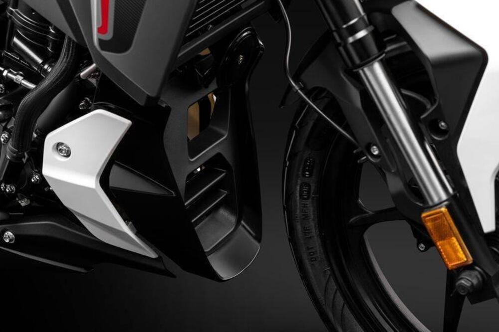 Morbidelli F125 (2025 - 26) (12)