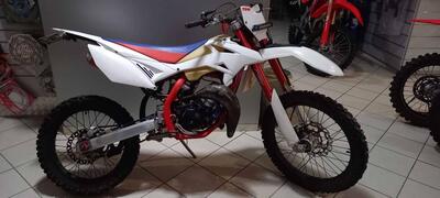 Betamotor RR 50 Enduro (2011 - 18) usata