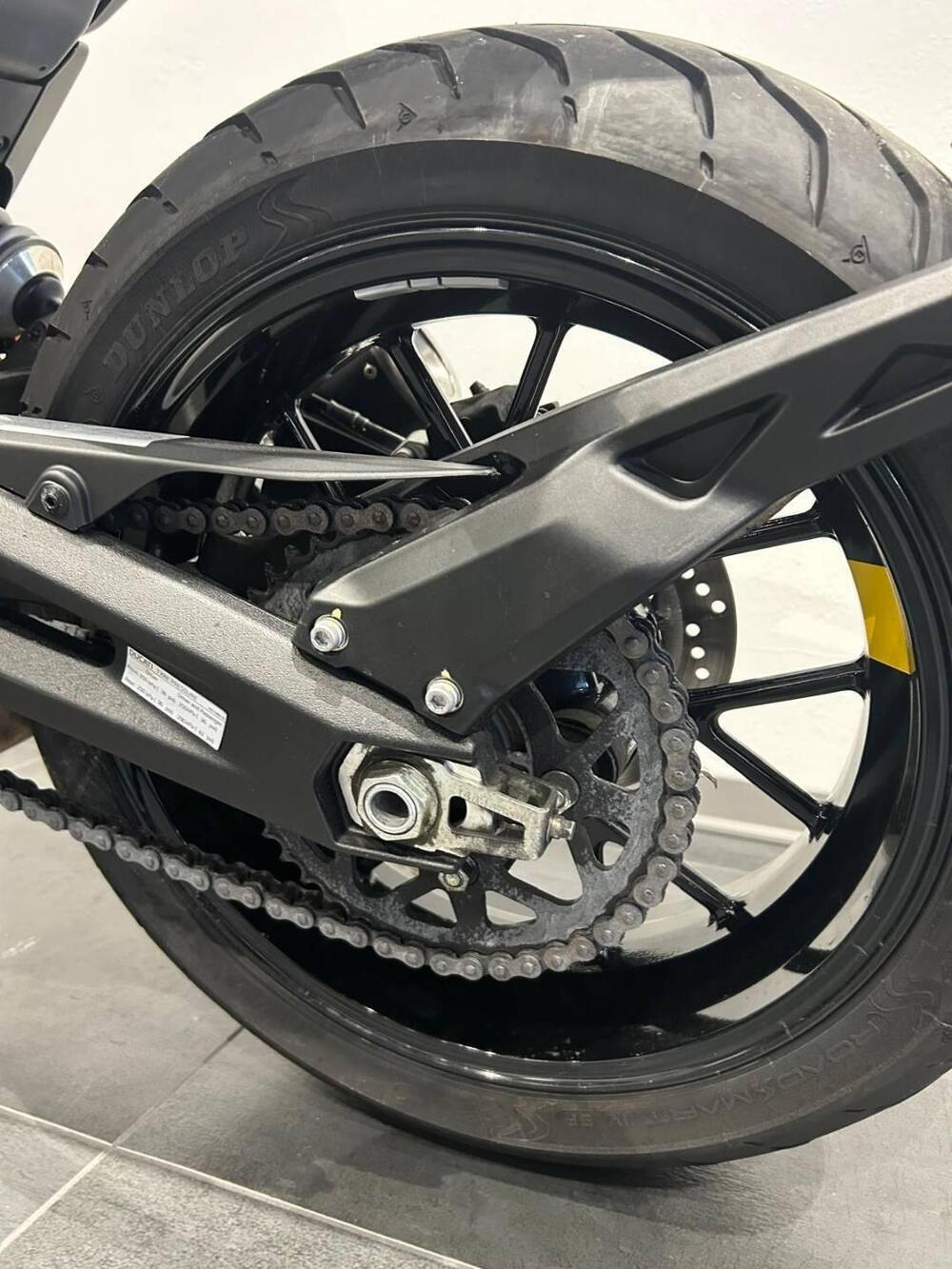 Ducati Scrambler 800 Icon (2023 - 24) (10)