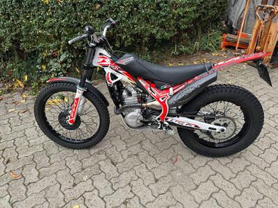 Betamotor Evo 300 4t (2021) usata