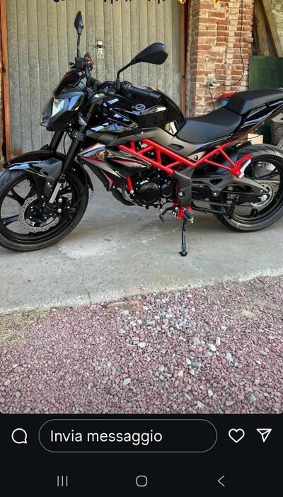 Benelli BN 125 (2021 - 25) usata