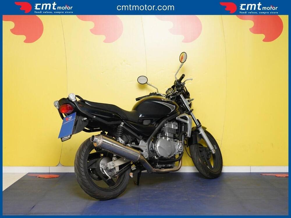 Kawasaki ER-5 500 (2001 - 06) (3)