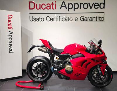Ducati Panigale V4 (2022 - 24) usata