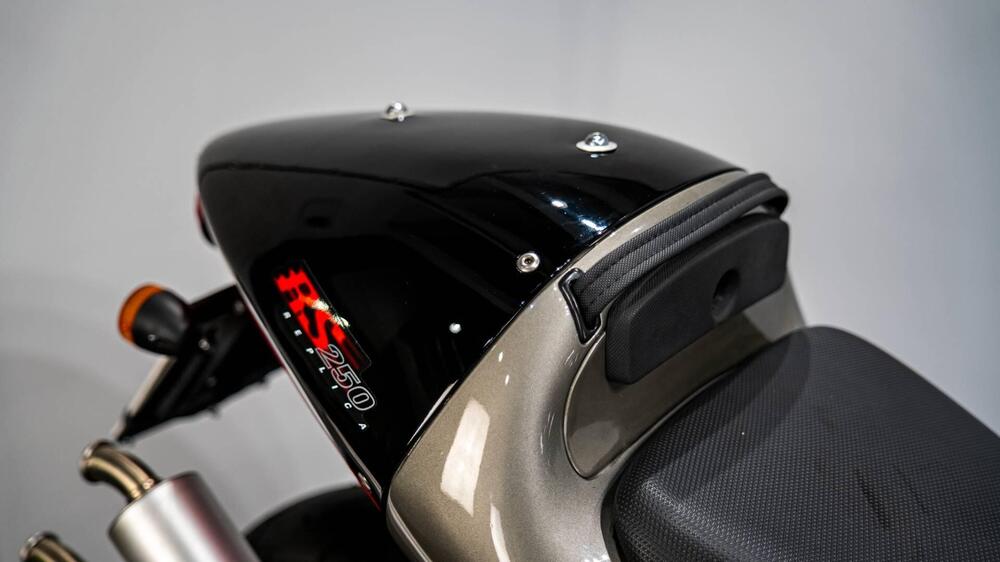 Aprilia RS 250  (10)