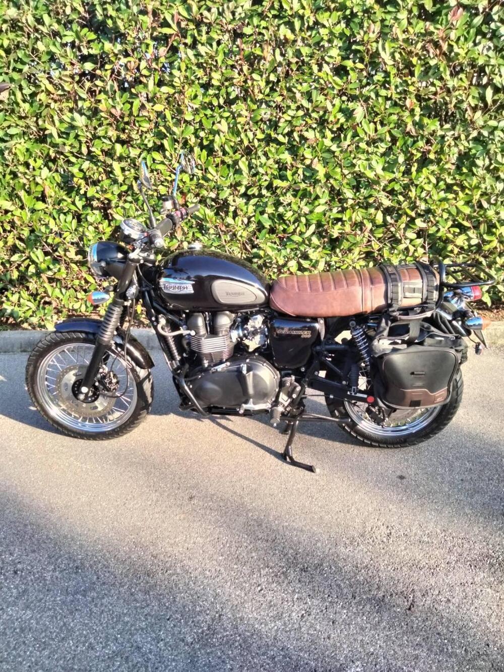 Triumph Scrambler (2006 - 17) (3)