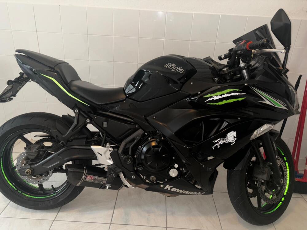 Kawasaki Ninja 650 (2017 - 19) (2)