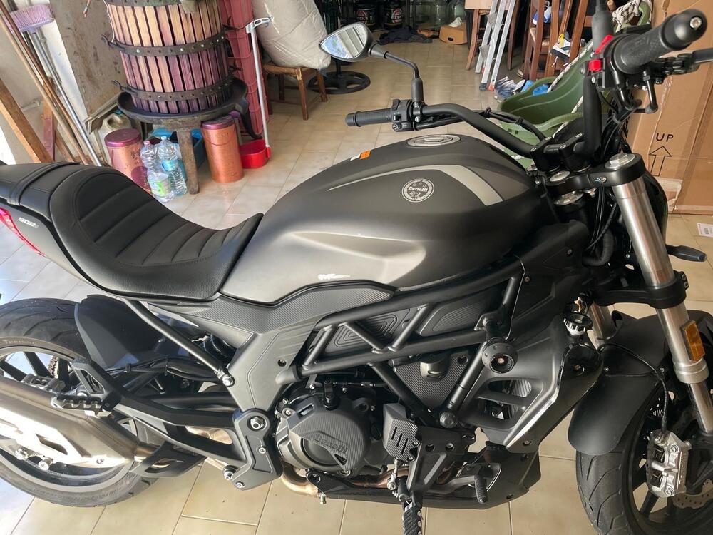 Benelli 502 C (2021 - 25) (3)