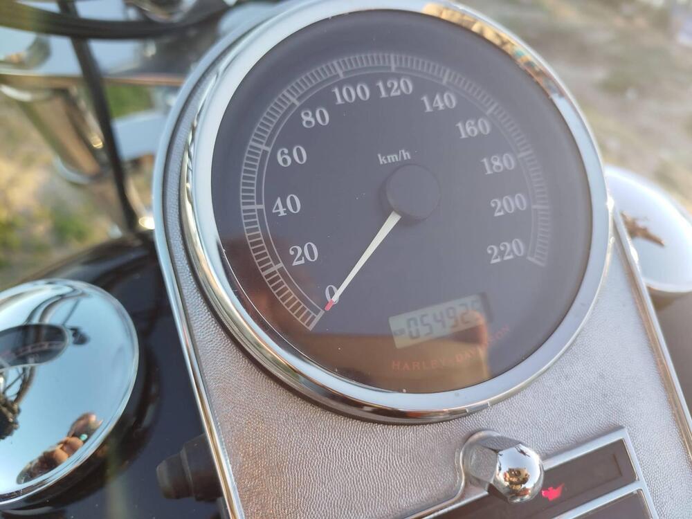 Harley-Davidson 1584 Heritage Classic (2008 - 10) - FLSTC (3)