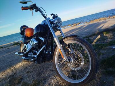 Harley-Davidson 1584 Heritage Classic (2008 - 10) - FLSTC usata