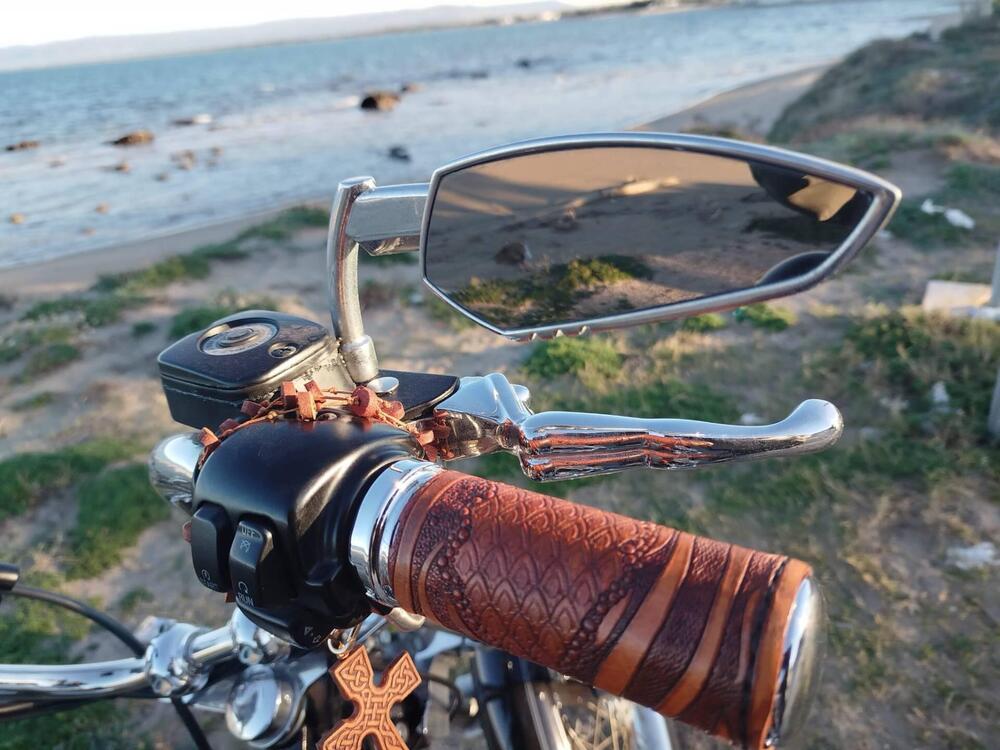 Harley-Davidson 1584 Heritage Classic (2008 - 10) - FLSTC (7)