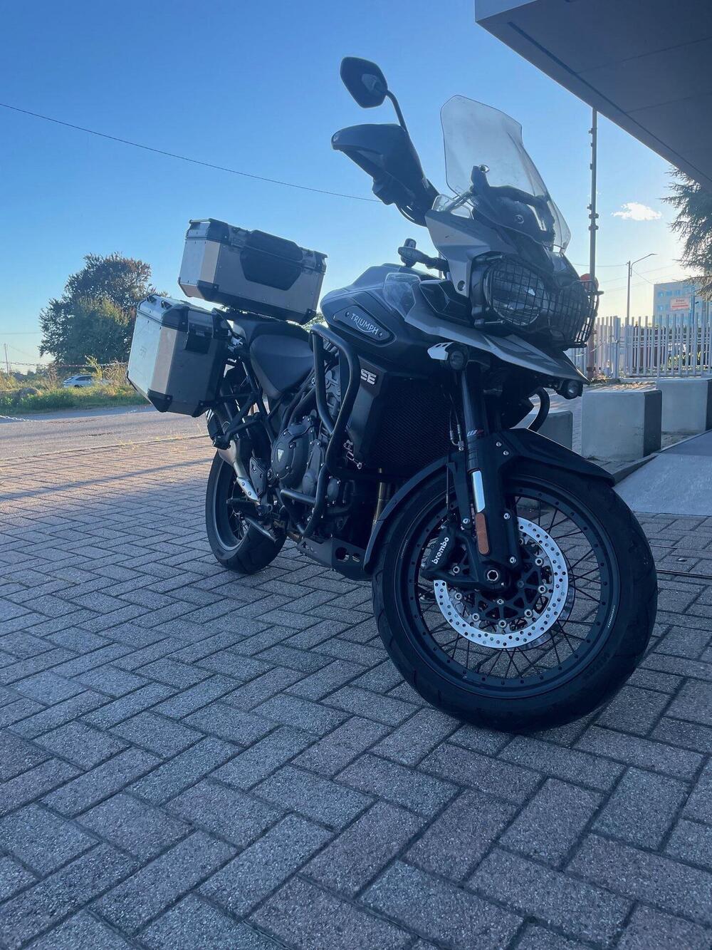 Triumph Tiger 1200 Desert Edition (2020) (2)