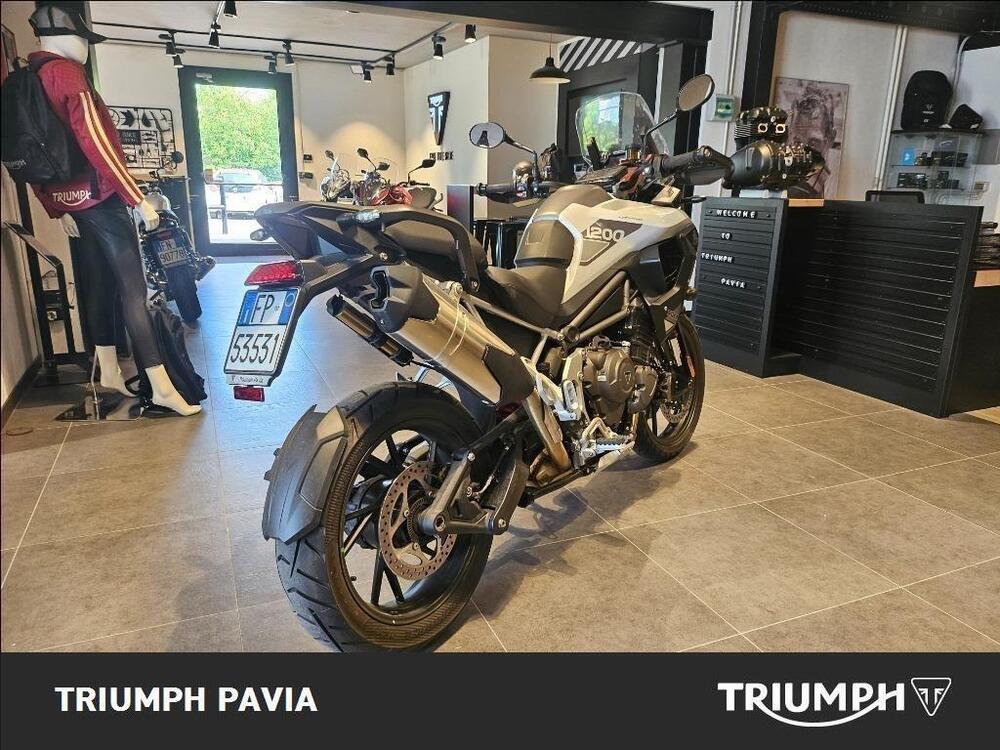 Triumph Tiger 1200 GT Pro (2024 - 25) (5)