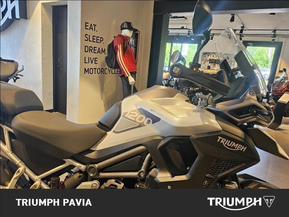 Triumph Tiger 1200 GT Pro (2024 - 25) (13)
