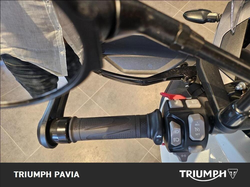 Triumph Tiger 1200 GT Pro (2024 - 25) (19)