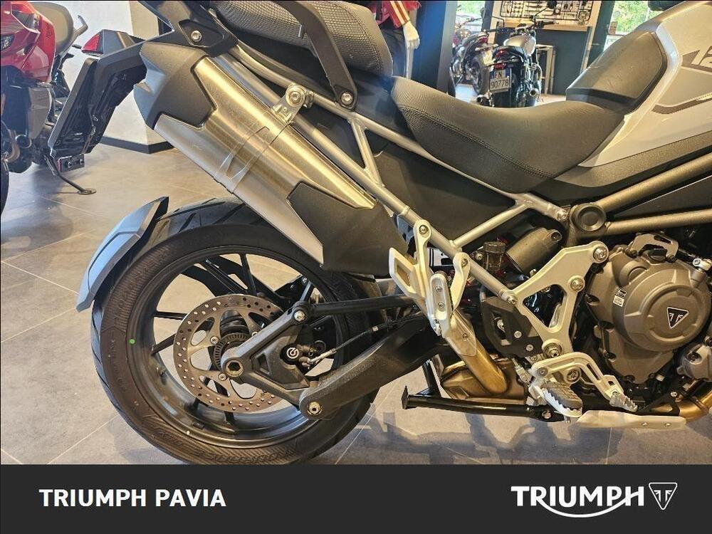 Triumph Tiger 1200 GT Pro (2024 - 25) (12)