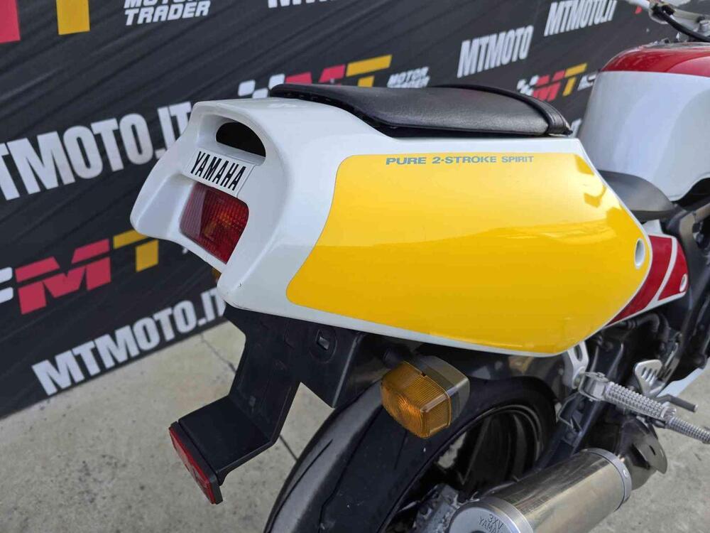 Yamaha TZR 250 RS 3VX (9)
