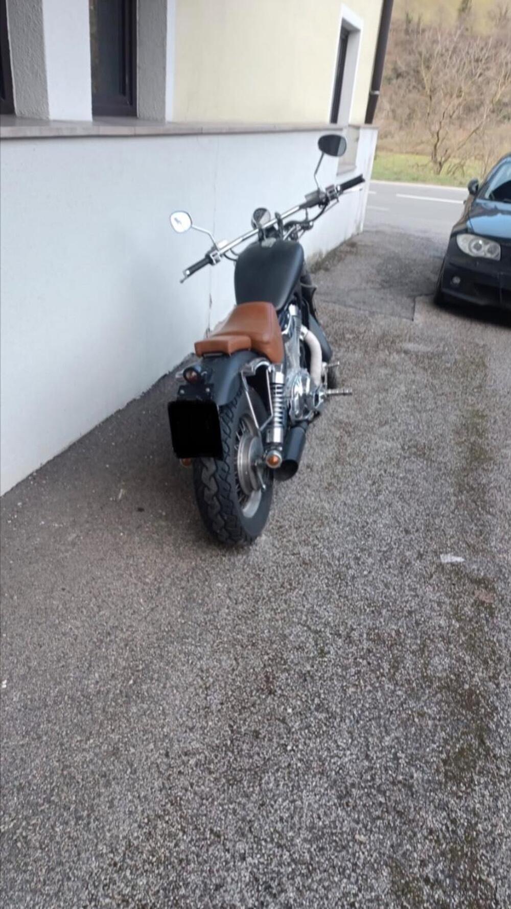 Suzuki VS 800 GL (1992 - 98) (3)