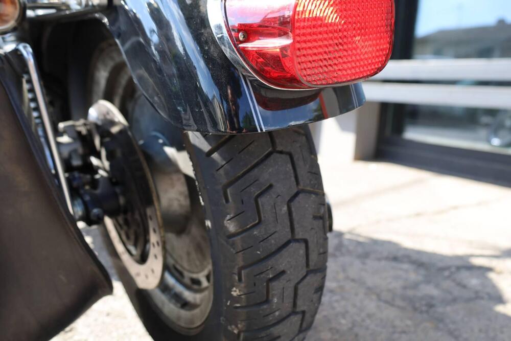 Harley-Davidson 1200 Custom (2007 - 13) - XL 1200C (5)