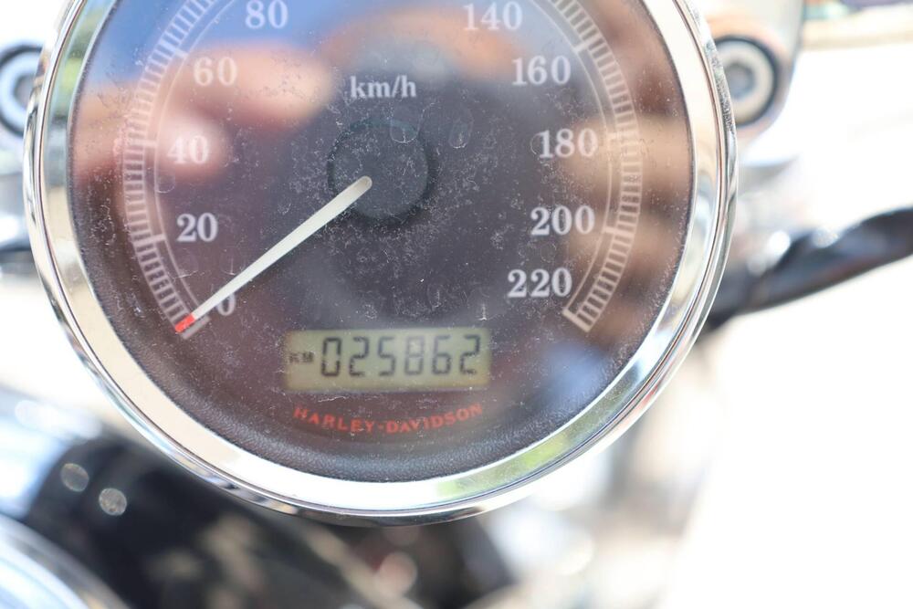 Harley-Davidson 1200 Custom (2007 - 13) - XL 1200C (18)