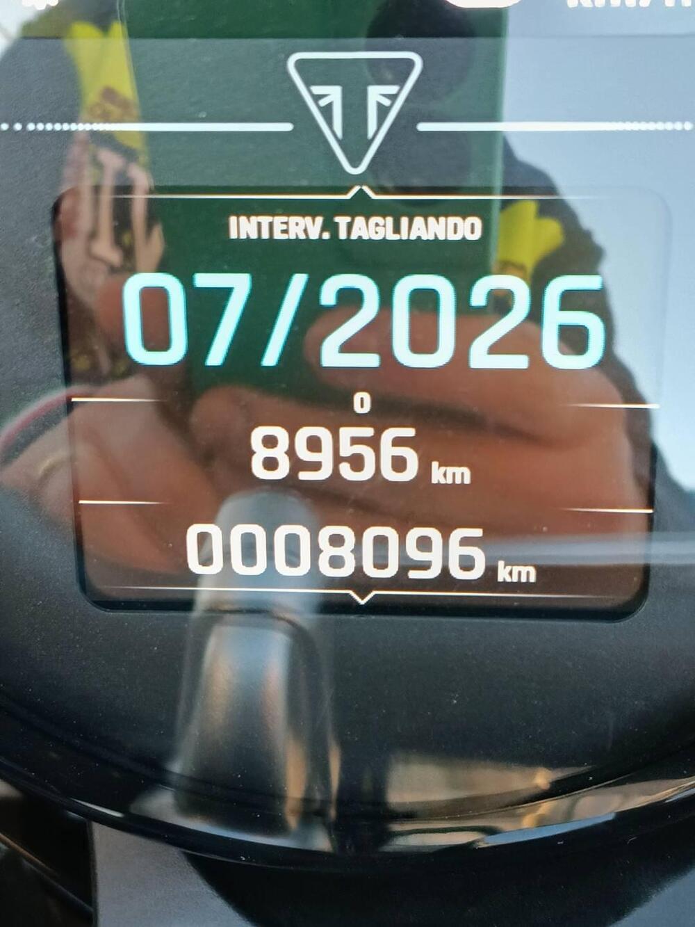 Triumph Speed Twin 900 (2025) (9)