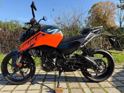 KTM 125 Duke (2024 - 26) usata
