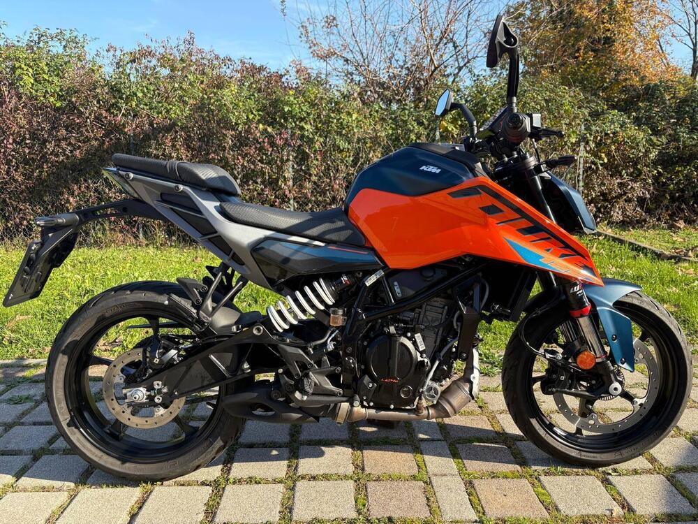 KTM 125 Duke (2024 - 25) (2)