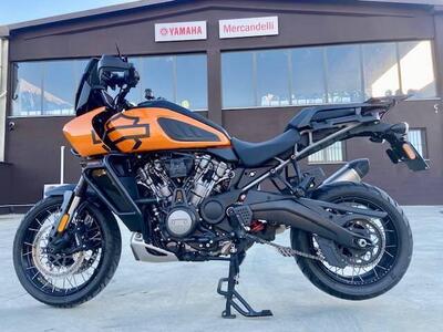 Harley-Davidson Pan America 1250 Special (2020 - 25) usata