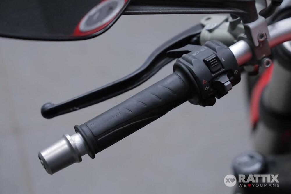 Ducati Monster 1200 (2014 - 16) (11)