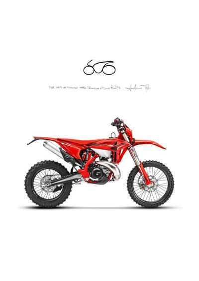 Betamotor RR 300 2T Enduro Race (2026) nuova