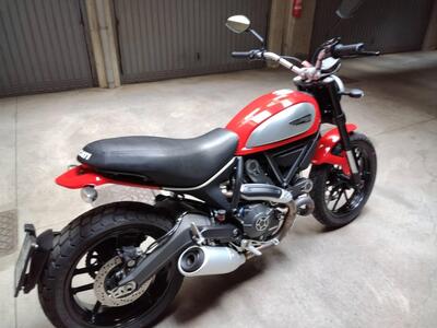 Ducati Scrambler 800 Icon (2015 - 16) usata