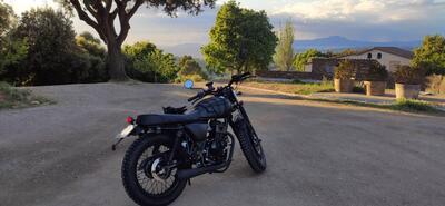 Mutt Motorcycles Fat Sabbath 125 (2021 - 25) usata