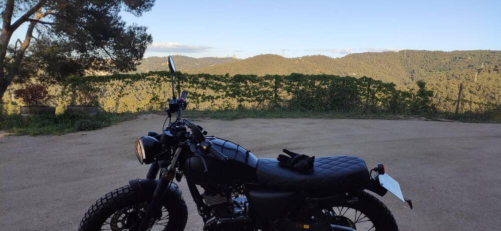 Mutt Motorcycles Fat Sabbath 125 (2021 - 25) (4)