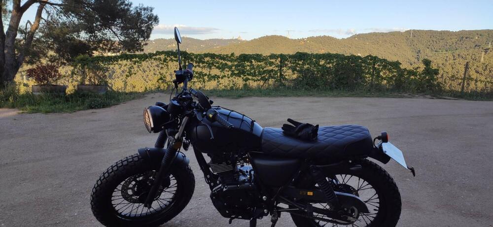 Mutt Motorcycles Fat Sabbath 125 (2021 - 25) (5)