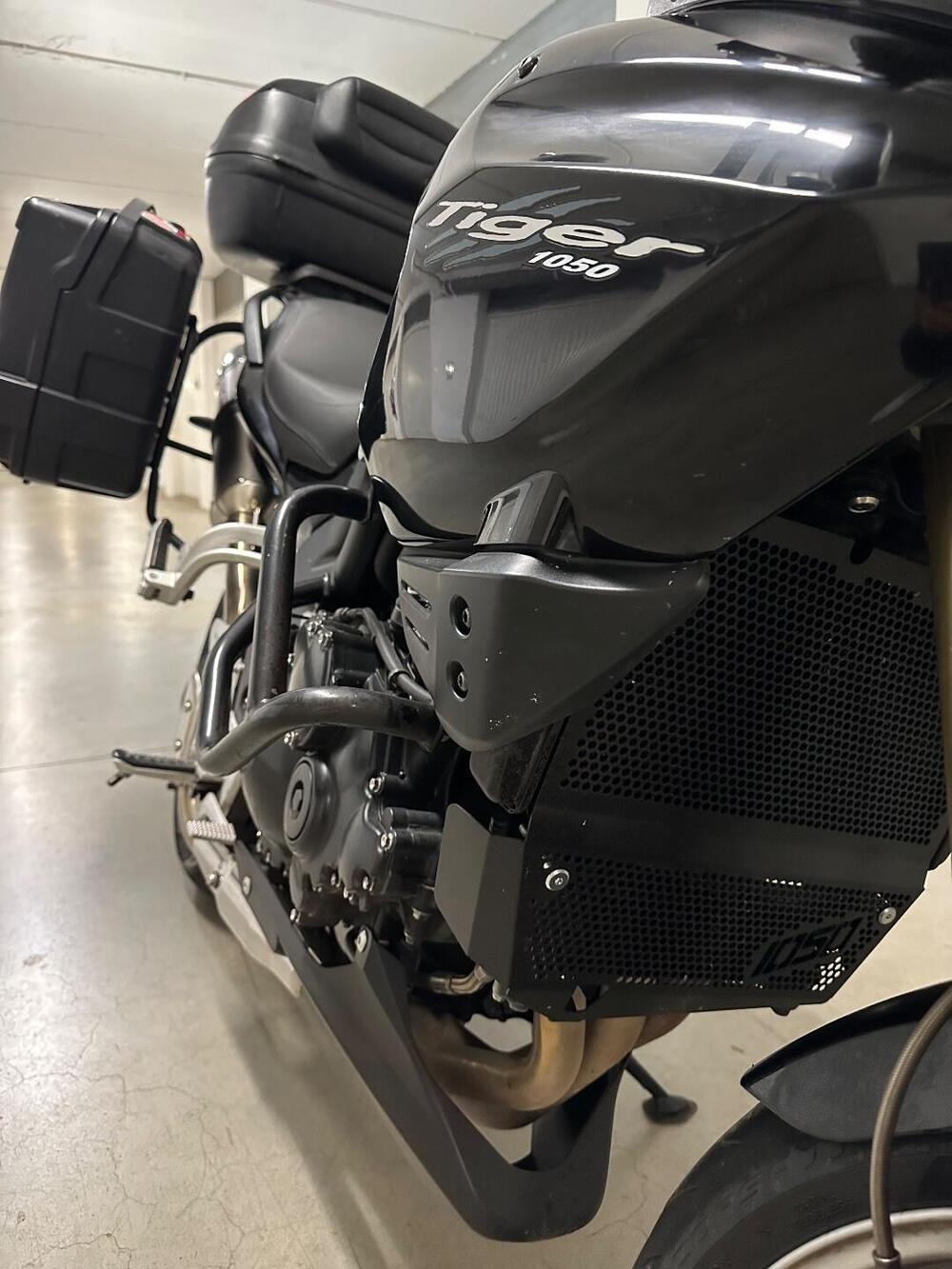 Triumph Tiger 1050 (2006 - 12) (6)