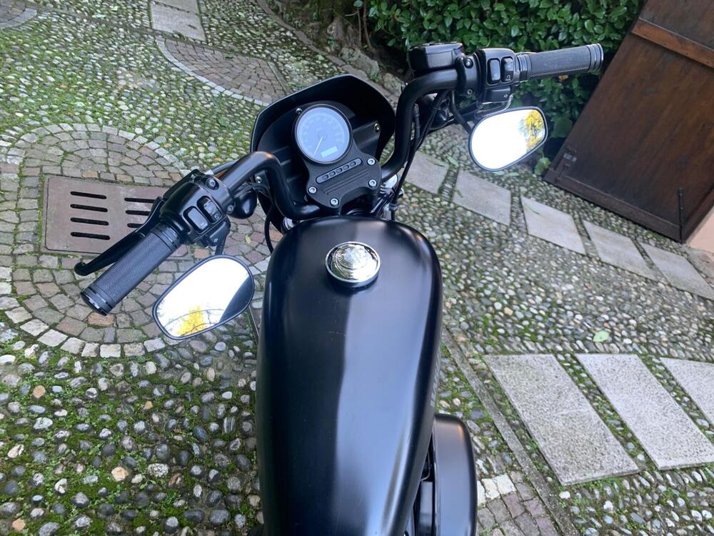 Harley-Davidson 883 Iron (2012 - 14) - XL 883N (3)