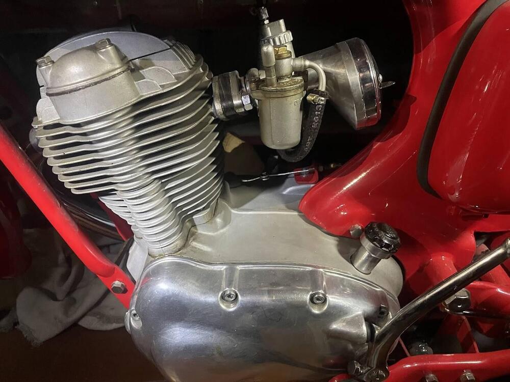 Morini sbarazzino 98