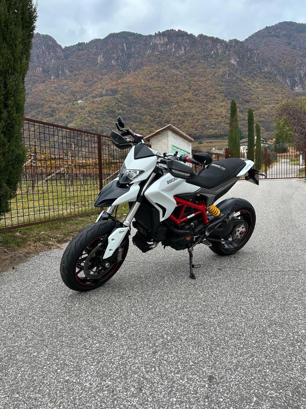 Ducati Hypermotard 939 (2016 - 18) (7)