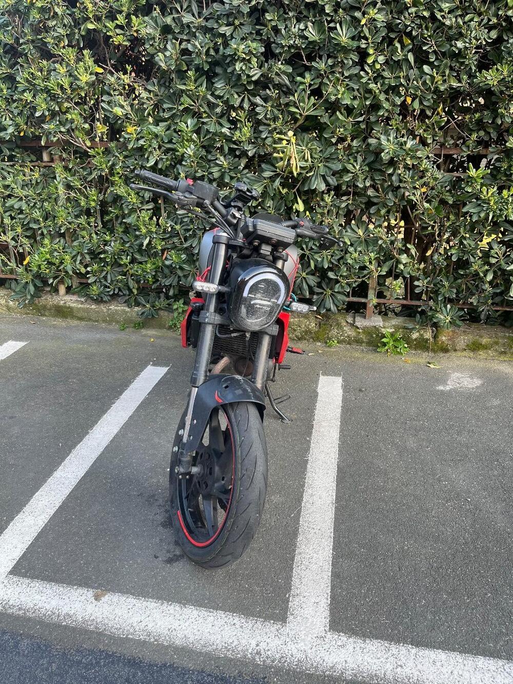 Benelli Leoncino 125 (2022 - 25) (6)