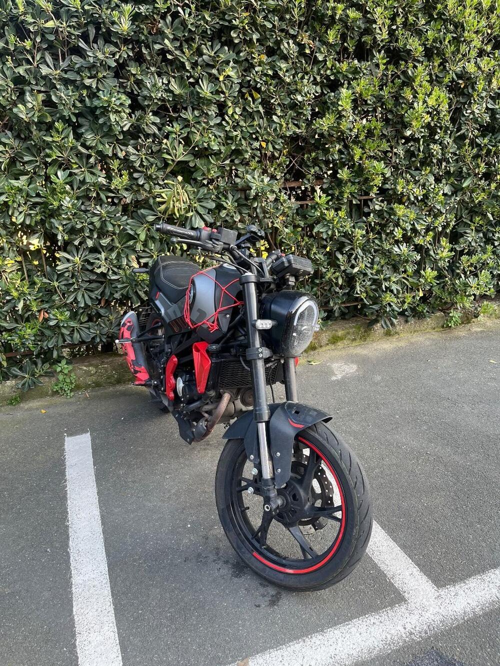 Benelli Leoncino 125 (2022 - 25) (7)