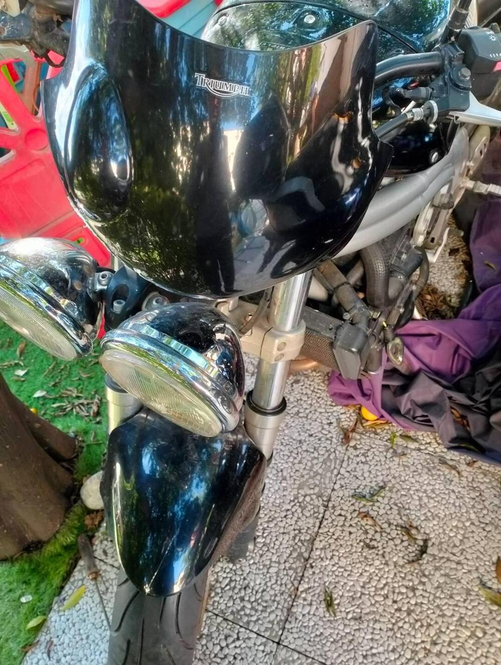 Triumph Speed Triple 955 (1998 - 01) (2)