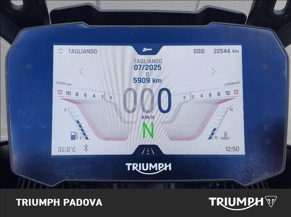 Triumph Tiger 900 Rally Pro (2020 - 23) (13)